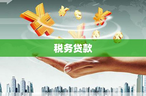 竹东税务贷款