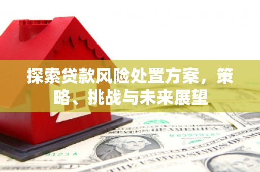 竹东探索贷款风险处置方案，策略、挑战与未来展望