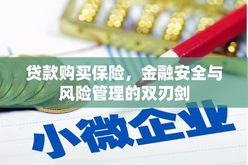 竹东贷款购买保险，金融安全与风险管理的双刃剑