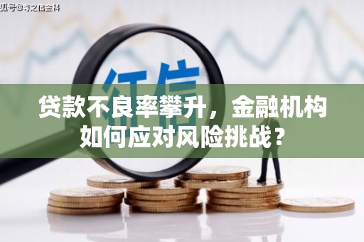 竹东贷款不良率攀升，金融机构如何应对风险挑战？