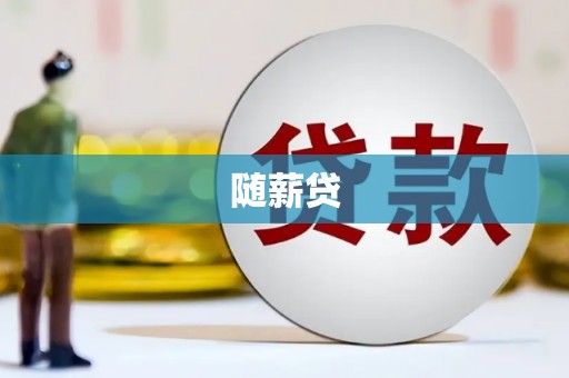 竹东随薪贷