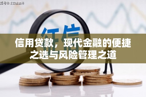 竹东信用贷款，现代金融的便捷之选与风险管理之道