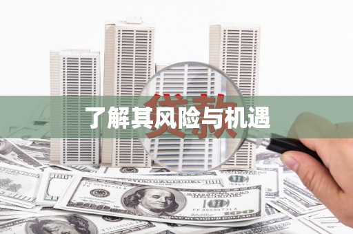 竹东了解其风险与机遇