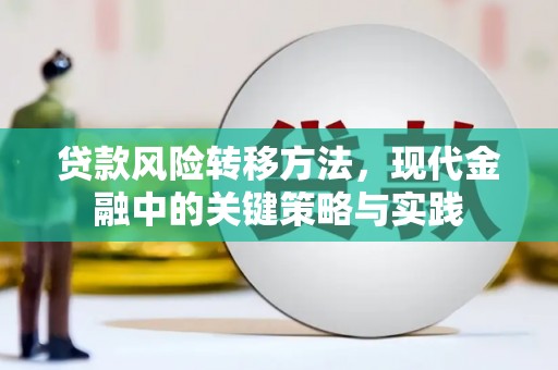竹东贷款风险转移方法，现代金融中的关键策略与实践