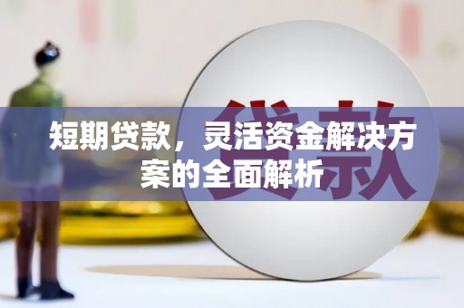 竹东短期贷款，灵活资金解决方案的全面解析