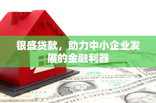 竹东银盛贷款，助力中小企业发展的金融利器
