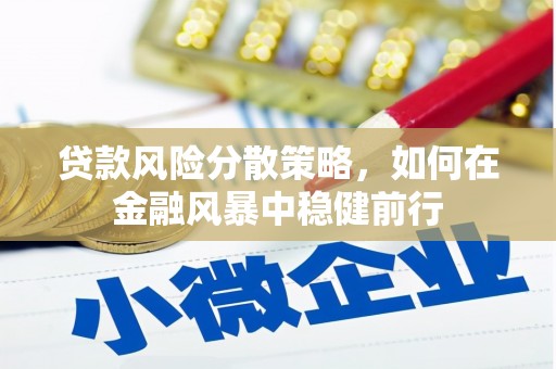 竹东贷款风险分散策略，如何在金融风暴中稳健前行