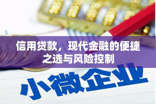 竹东信用贷款，现代金融的便捷之选与风险控制