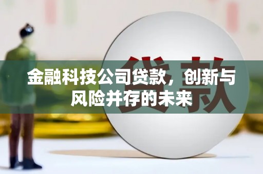 竹东金融科技公司贷款，创新与风险并存的未来