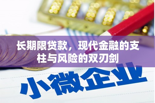竹东长期限贷款，现代金融的支柱与风险的双刃剑