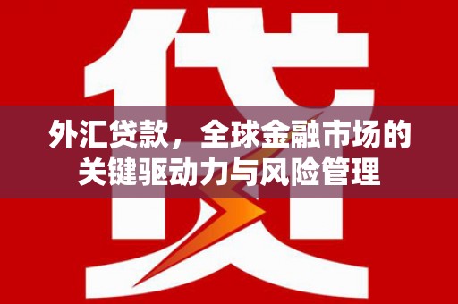 竹东外汇贷款，全球金融市场的关键驱动力与风险管理
