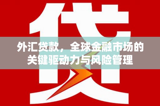 竹东外汇贷款，全球金融市场的关键驱动力与风险管理