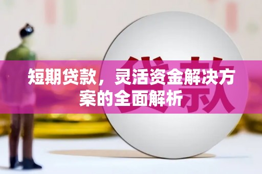 竹东短期贷款，灵活资金解决方案的全面解析