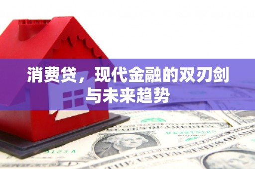 竹东消费贷，现代金融的双刃剑与未来趋势