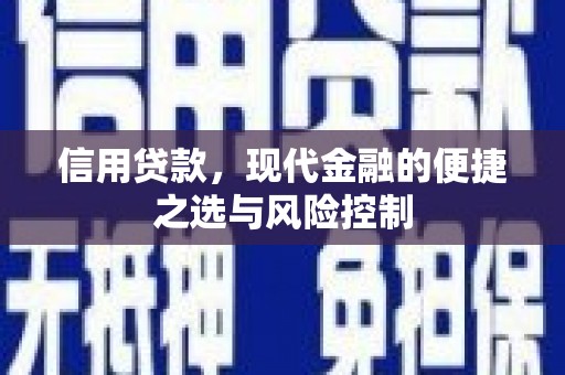 竹东信用贷款，现代金融的便捷之选与风险控制