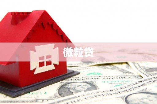 竹东微粒贷