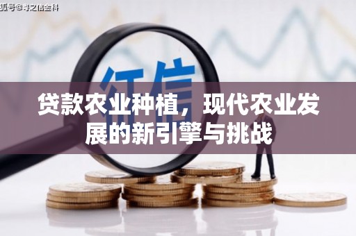 竹东贷款农业种植，现代农业发展的新引擎与挑战