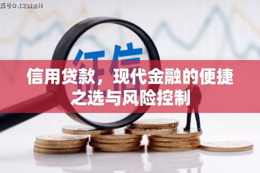 竹东信用贷款，现代金融的便捷之选与风险控制