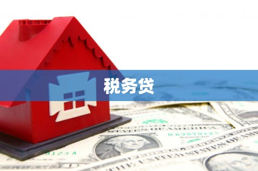 竹东税务贷