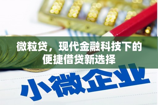竹东微粒贷，现代金融科技下的便捷借贷新选择