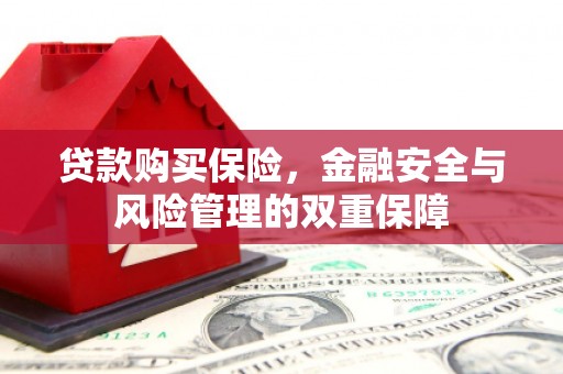 竹东贷款购买保险，金融安全与风险管理的双重保障