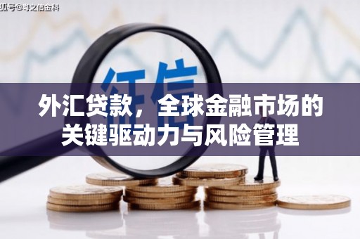 竹东外汇贷款，全球金融市场的关键驱动力与风险管理