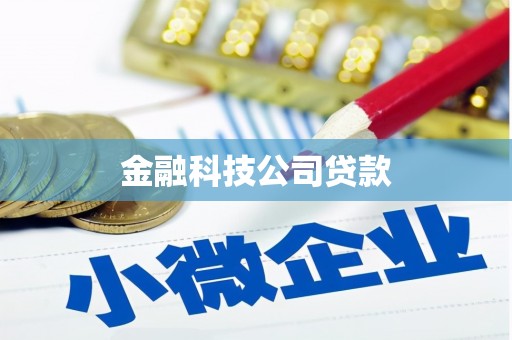 竹东金融科技公司贷款