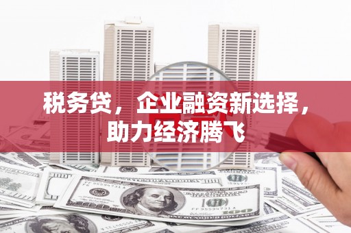 竹东税务贷，企业融资新选择，助力经济腾飞