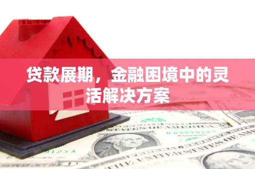 竹东贷款展期，金融困境中的灵活解决方案