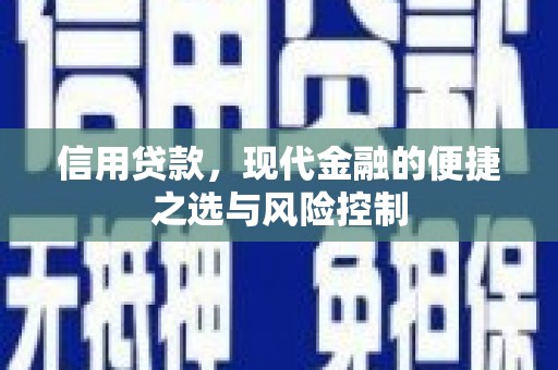竹东信用贷款，现代金融的便捷之选与风险控制