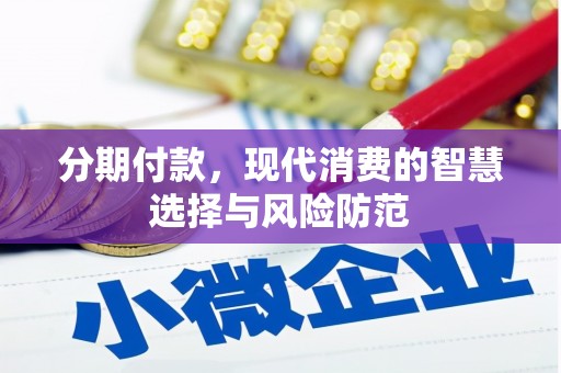 竹东分期付款，现代消费的智慧选择与风险防范