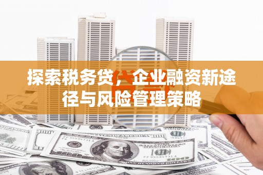 竹东探索税务贷，企业融资新途径与风险管理策略