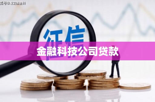 竹东金融科技公司贷款