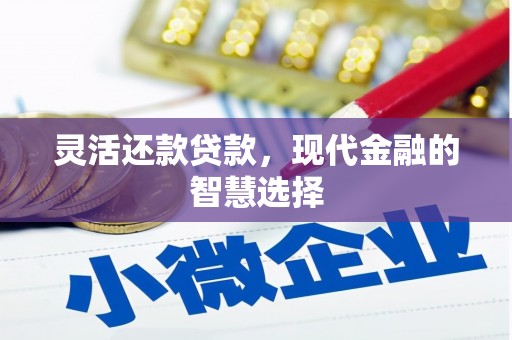竹东灵活还款贷款，现代金融的智慧选择