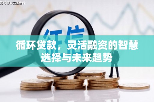 竹东循环贷款，灵活融资的智慧选择与未来趋势