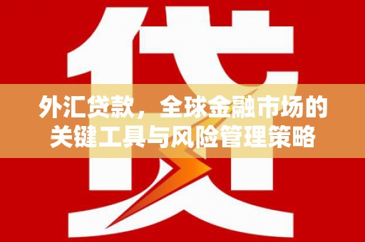 竹东外汇贷款，全球金融市场的关键工具与风险管理策略