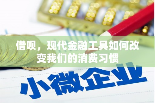 竹东借呗，现代金融工具如何改变我们的消费习惯