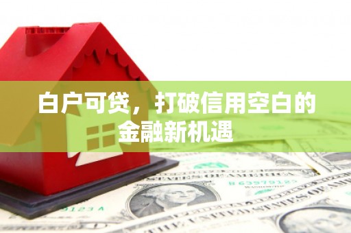 竹东白户可贷，打破信用空白的金融新机遇