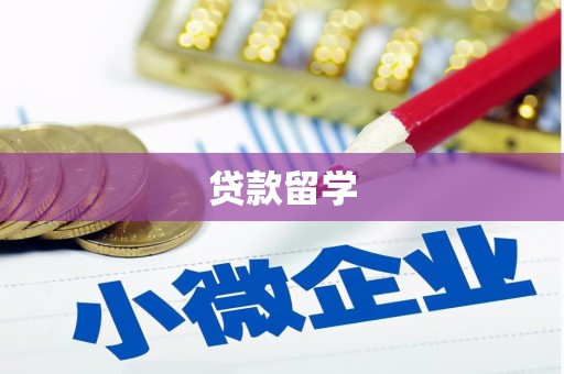 竹东贷款留学