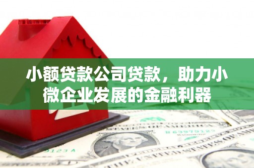 竹东小额贷款公司贷款，助力小微企业发展的金融利器