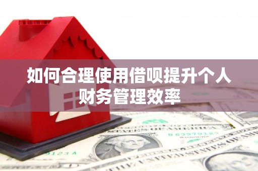 竹东如何合理使用借呗提升个人财务管理效率