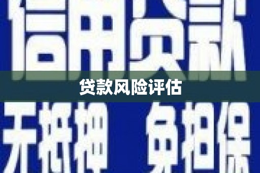 竹东贷款风险评估