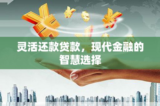 竹东灵活还款贷款，现代金融的智慧选择