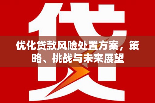 竹东优化贷款风险处置方案，策略、挑战与未来展望