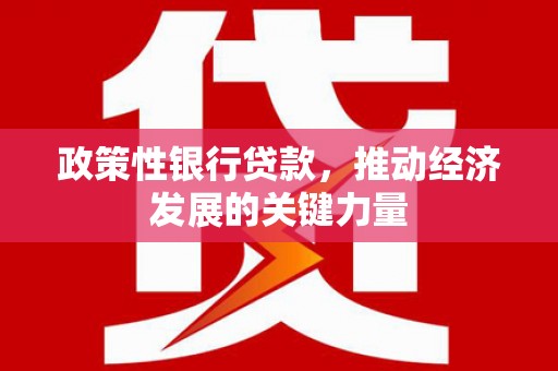 竹东政策性银行贷款，推动经济发展的关键力量
