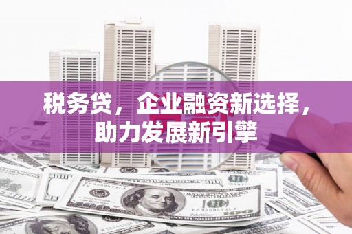 竹东税务贷，企业融资新选择，助力发展新引擎