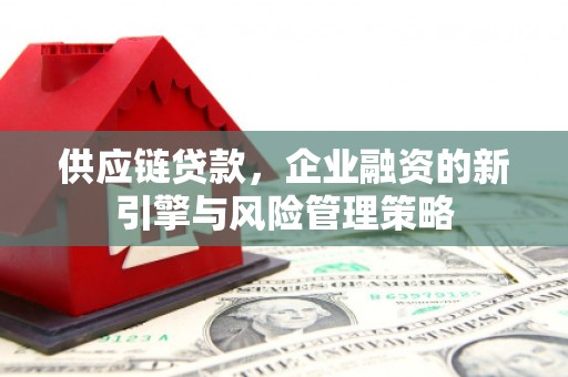 竹东供应链贷款，企业融资的新引擎与风险管理策略