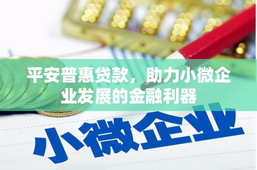 竹东平安普惠贷款，助力小微企业发展的金融利器