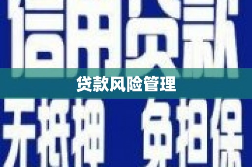 竹东贷款风险管理