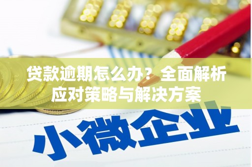 竹东贷款逾期怎么办？全面解析应对策略与解决方案